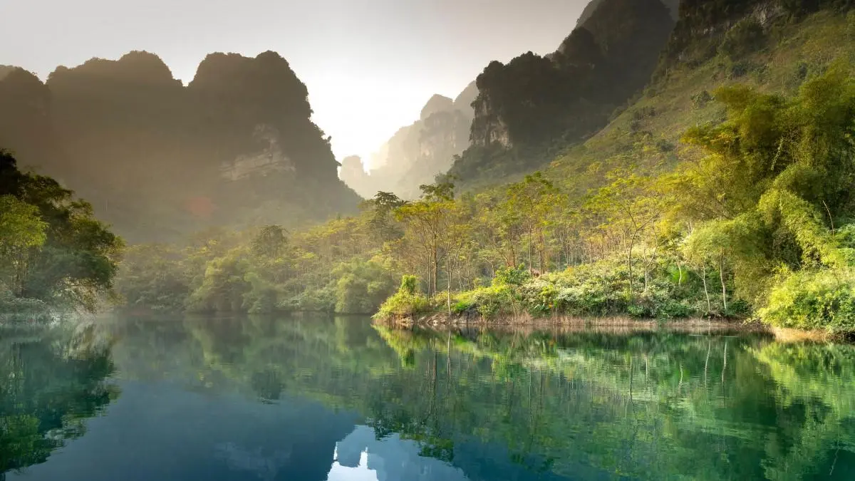 科技智慧